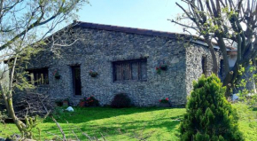 Stylish Farm House